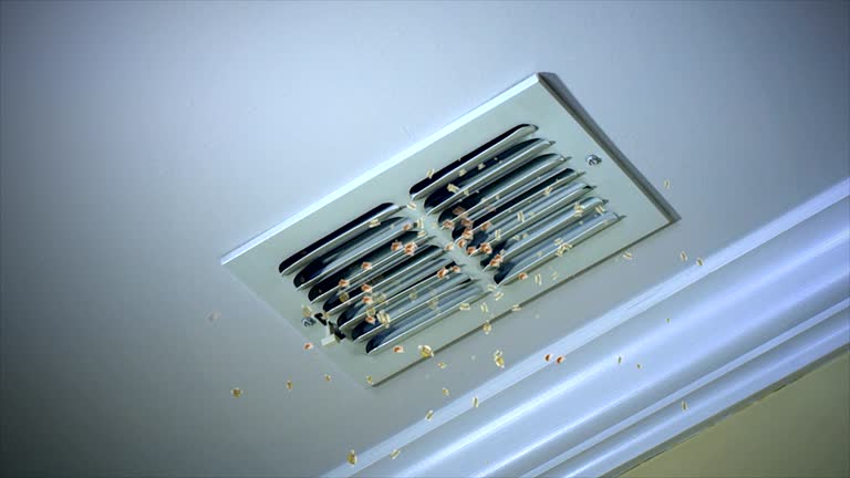Best HVAC Duct Inspection Services  in Pilot Rock, OR