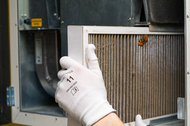 Best Dryer Vent Cleaning Services  in Pilot Rock, OR