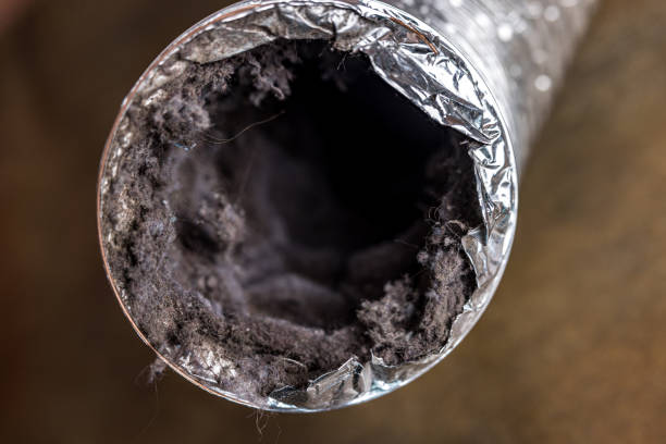 Best Residential Air Duct Cleaning  in Pilot Rock, OR